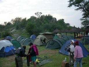 Lejrplads blandt lverne i Serengeti.