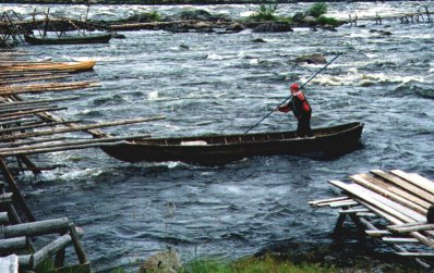 Sikfiskeri i Kukkolafossen